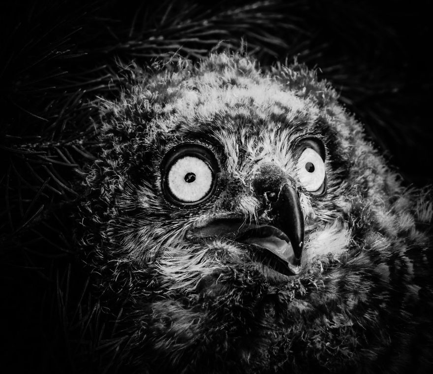 Oh No, Monday Is Here Again! Oh No, Monday Is Here Again!