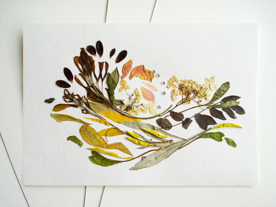 I Used 30 Plant Species To Create These Botanical Illustrations