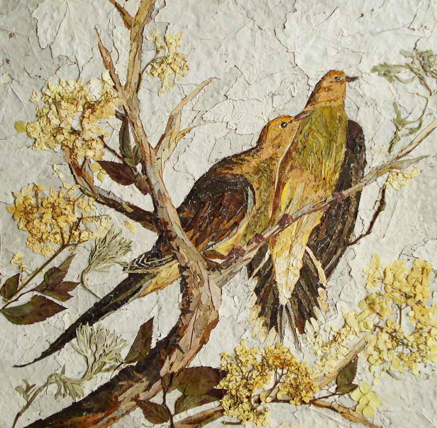 I Used 30 Plant Species To Create These Botanical Illustrations