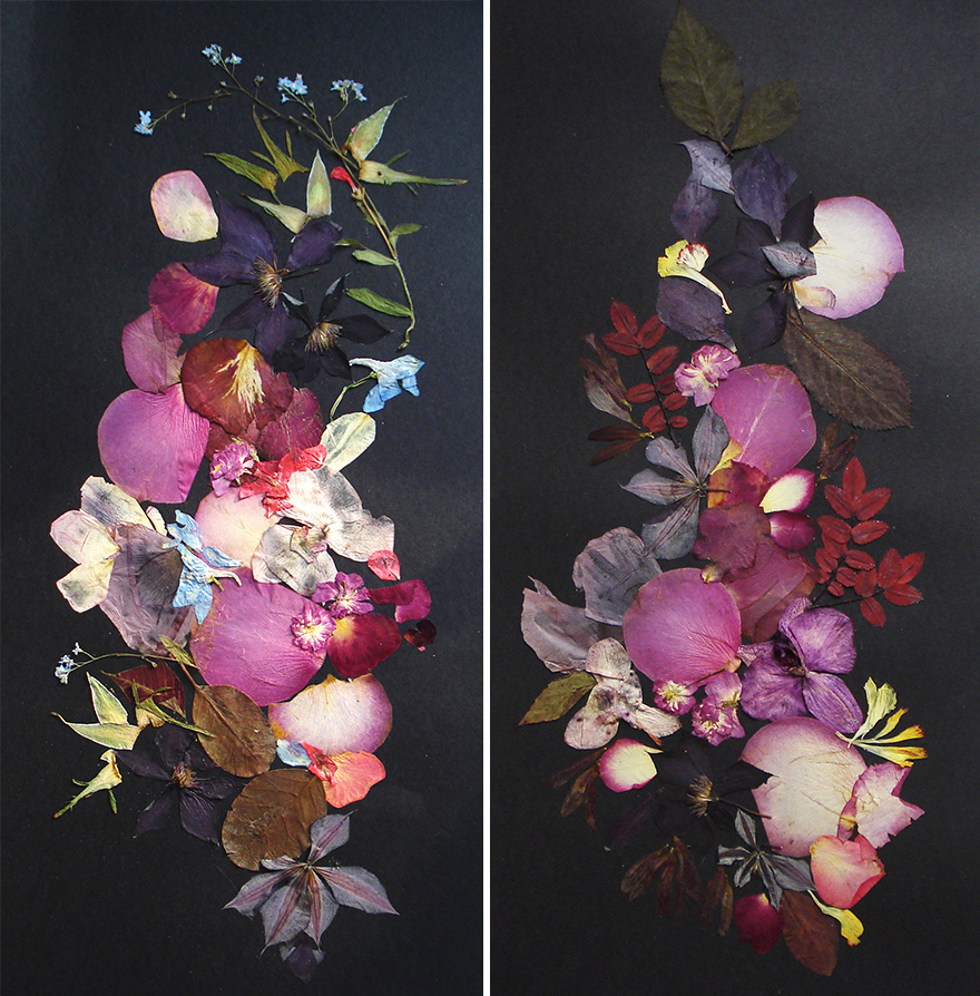 I Used 30 Plant Species To Create These Botanical Illustrations