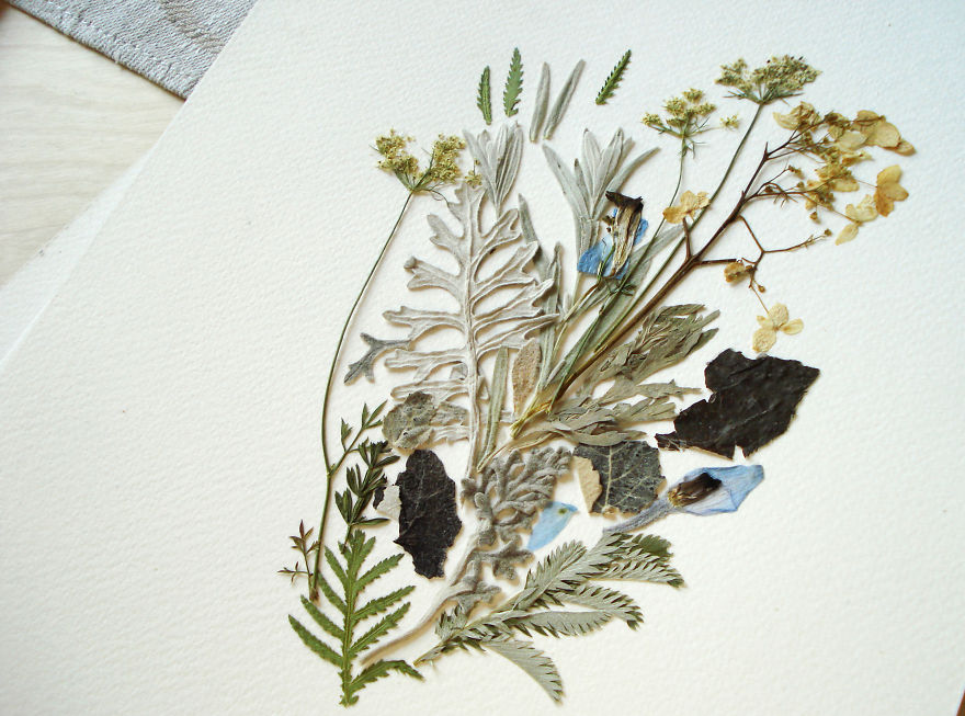 I Used 30 Plant Species To Create These Botanical Illustrations