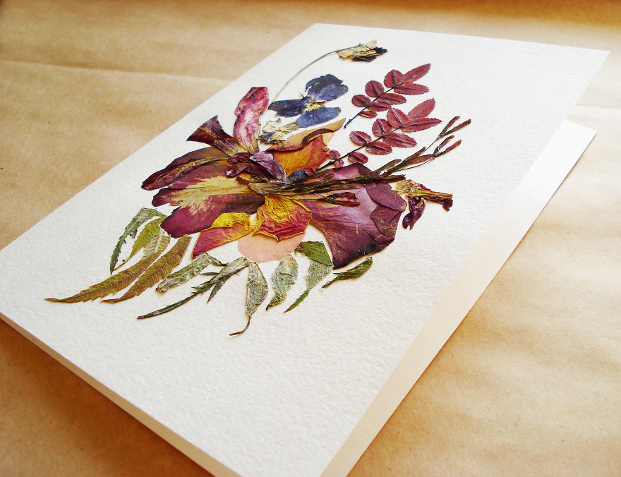 I Used 30 Plant Species To Create These Botanical Illustrations