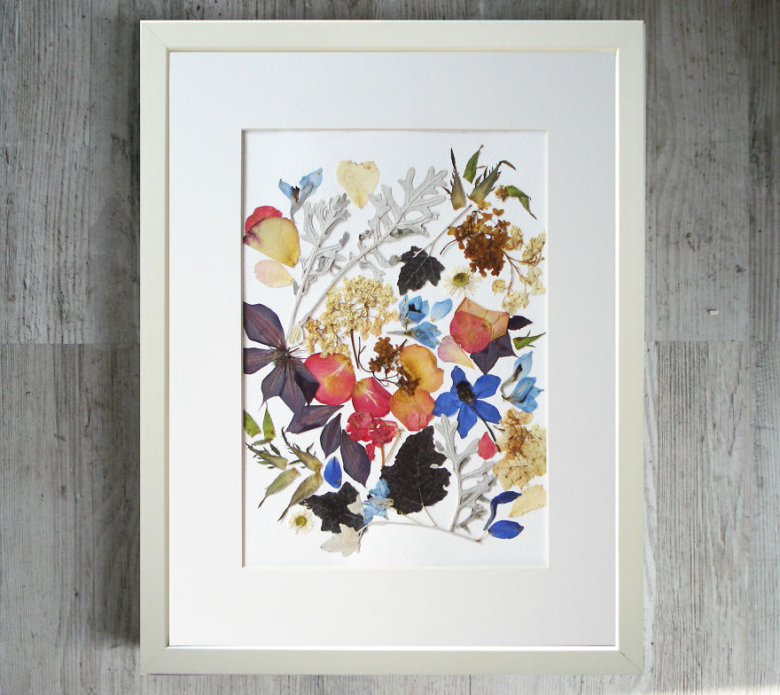 I Used 30 Plant Species To Create These Botanical Illustrations