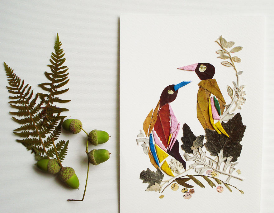 I Used 30 Plant Species To Create These Botanical Illustrations