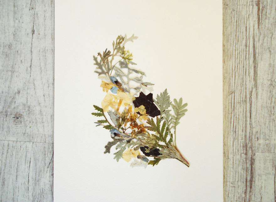 I Used 30 Plant Species To Create These Botanical Illustrations