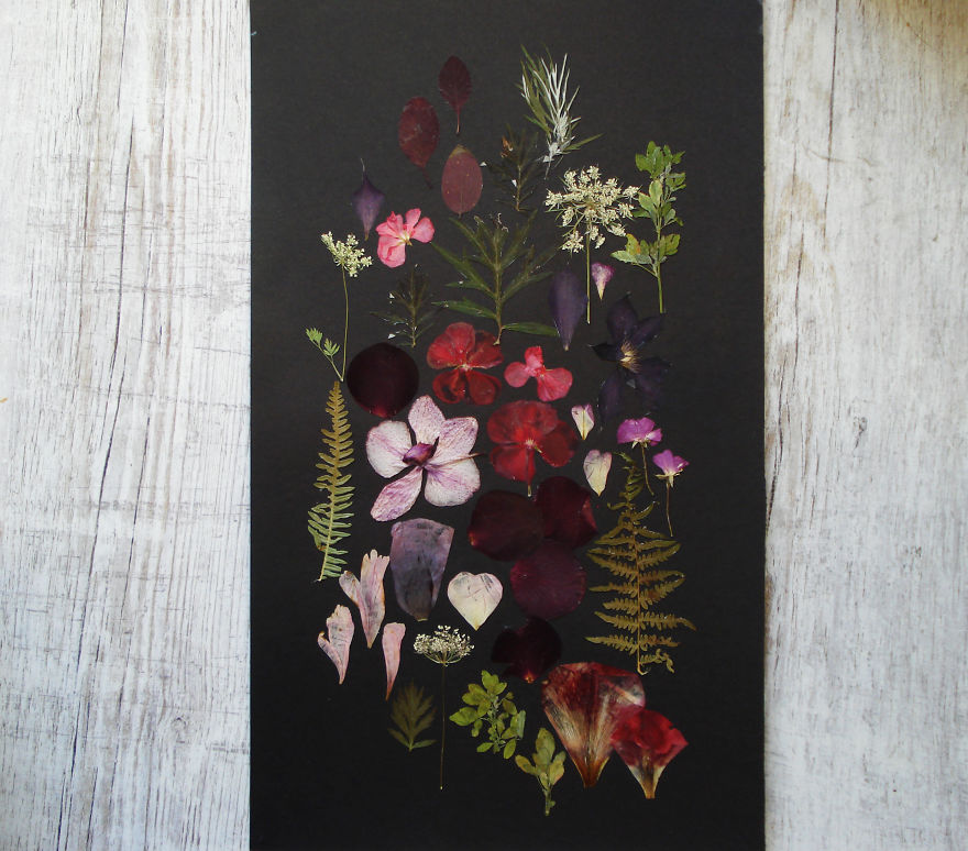 I Used 30 Plant Species To Create These Botanical Illustrations