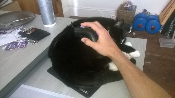 231 Animals That Sleep Wherever They Please 231 Animals That Sleep Wherever They Please