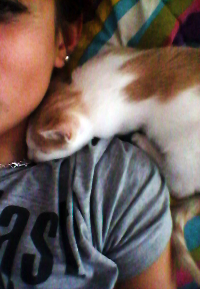 231 Animals That Sleep Wherever They Please 231 Animals That Sleep Wherever They Please