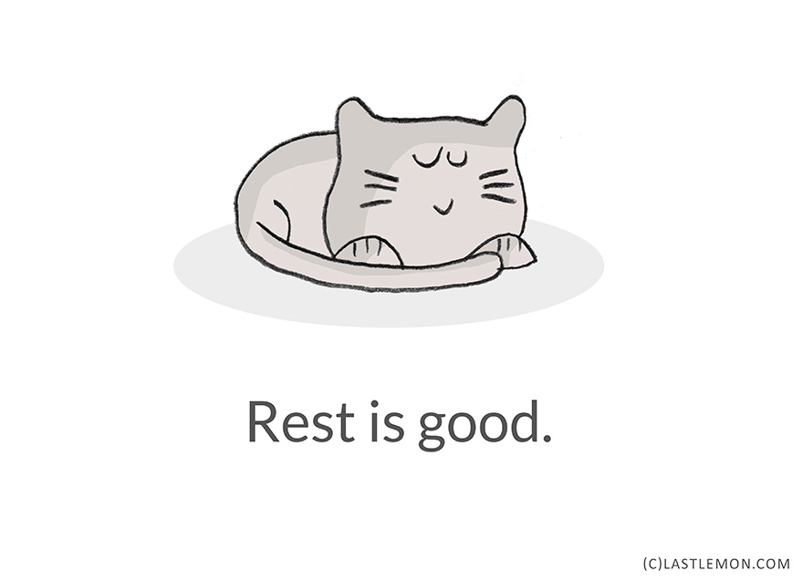 22 Life Lessons From Cats