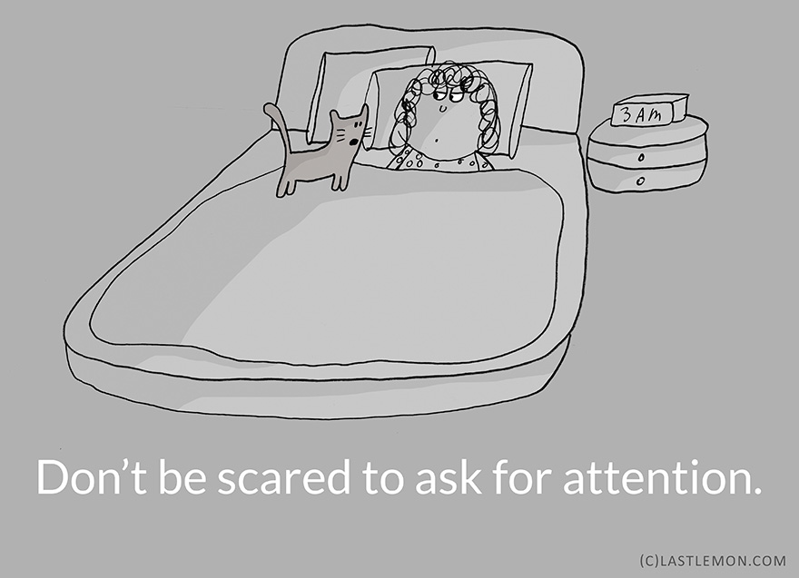 22 Life Lessons From Cats