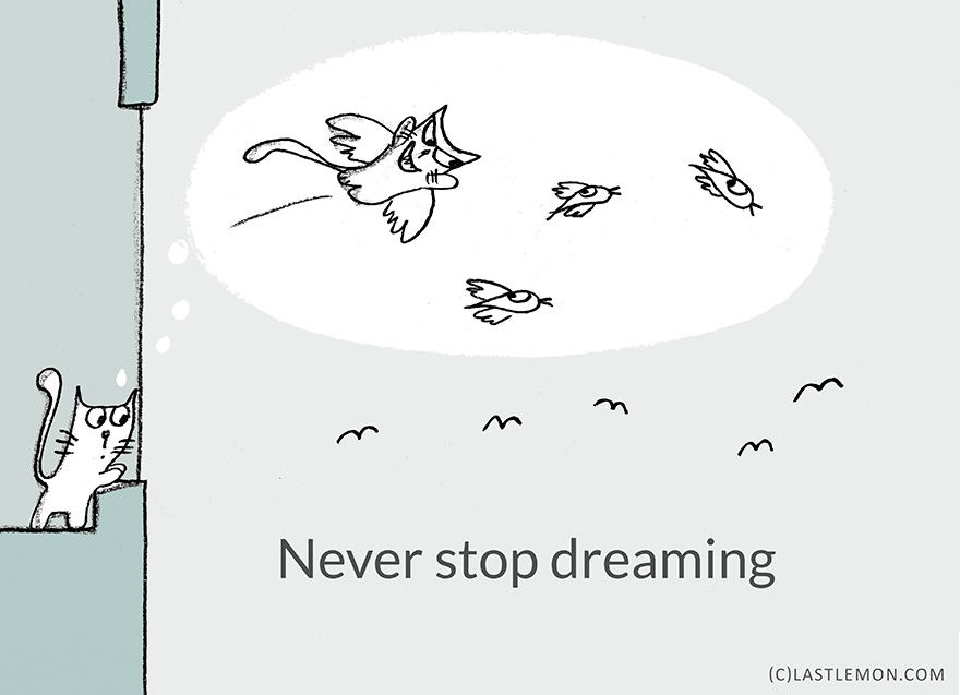 22 Life Lessons From Cats
