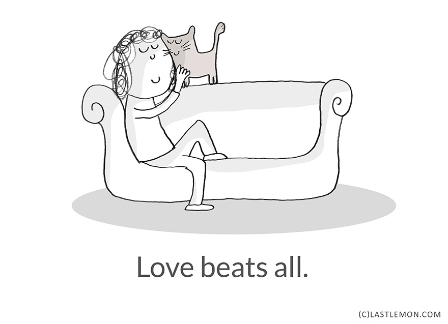 22 Life Lessons From Cats