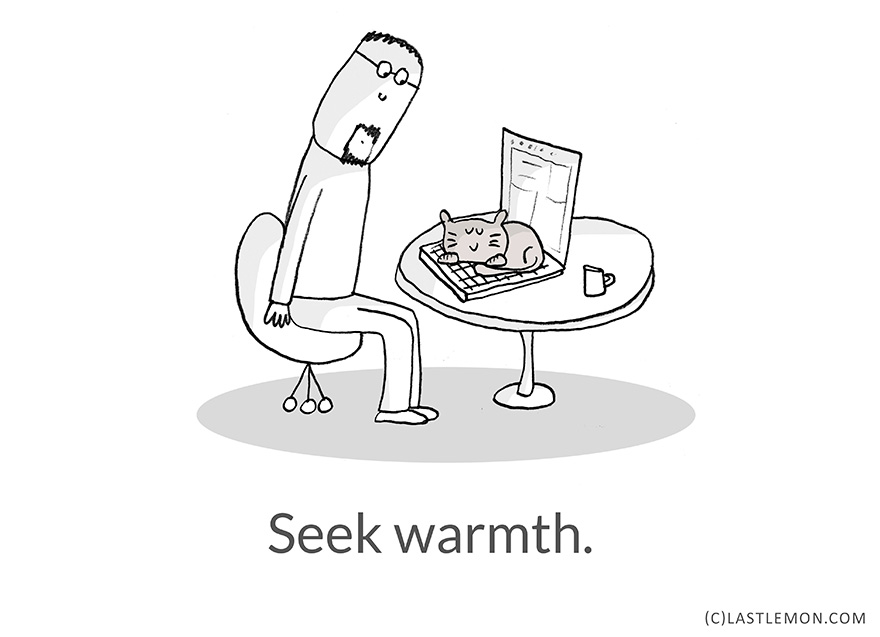 22 Life Lessons From Cats