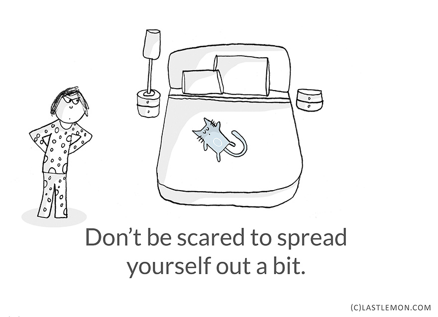 22 Life Lessons From Cats