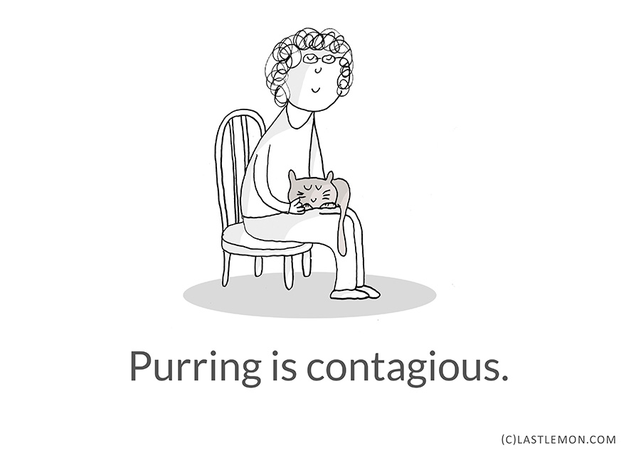 22 Life Lessons From Cats