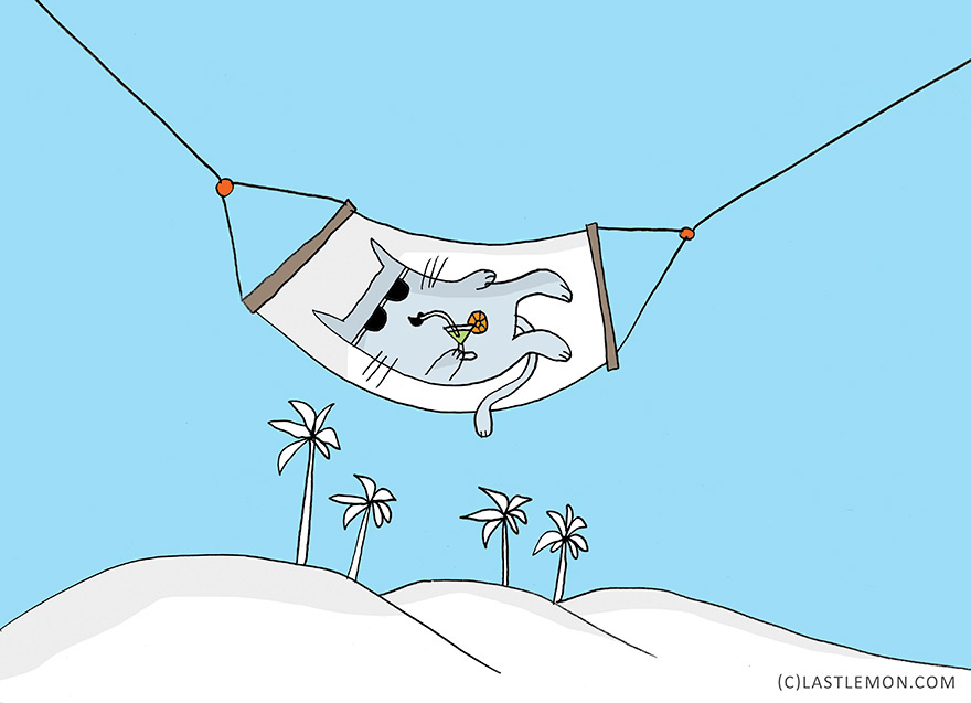 22 Life Lessons From Cats