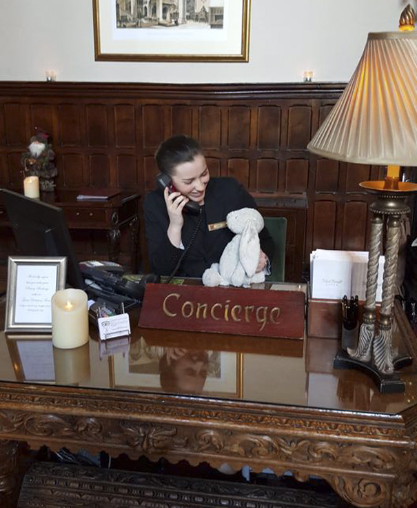 Little Girl Forgets Her Stuffed Bunny At Hotel, Staff Takes It On Adventure Little Girl Forgets Her Stuffed Bunny At Hotel, Staff Takes It On Adventure