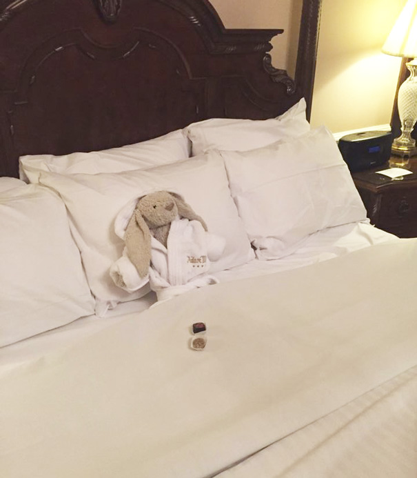 Little Girl Forgets Her Stuffed Bunny At Hotel, Staff Takes It On Adventure Little Girl Forgets Her Stuffed Bunny At Hotel, Staff Takes It On Adventure