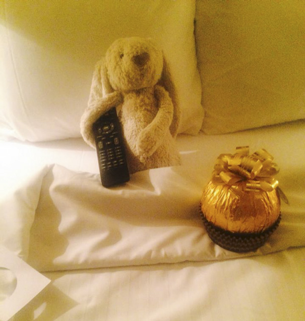 Little Girl Forgets Her Stuffed Bunny At Hotel, Staff Takes It On Adventure Little Girl Forgets Her Stuffed Bunny At Hotel, Staff Takes It On Adventure