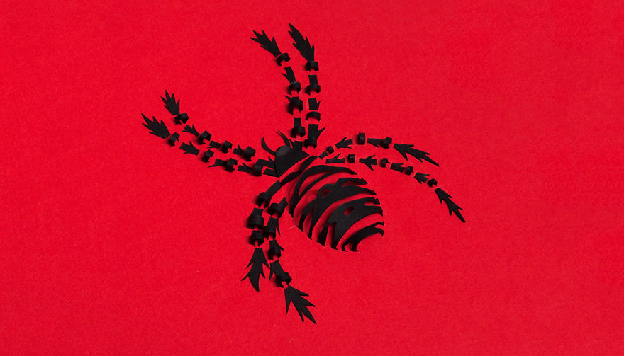 Paper Loops: I Create 3D Animals Using Shadows Paper Loops: I Create 3D Animals Using Shadows