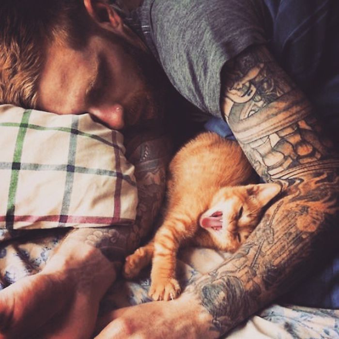 Hot Dudes With Kittens Instagram Is What You Need Right Meow Hot Dudes With Kittens Instagram Is What You Need Right Meow