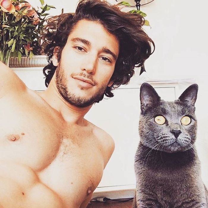 Hot Dudes With Kittens Instagram Is What You Need Right Meow Hot Dudes With Kittens Instagram Is What You Need Right Meow