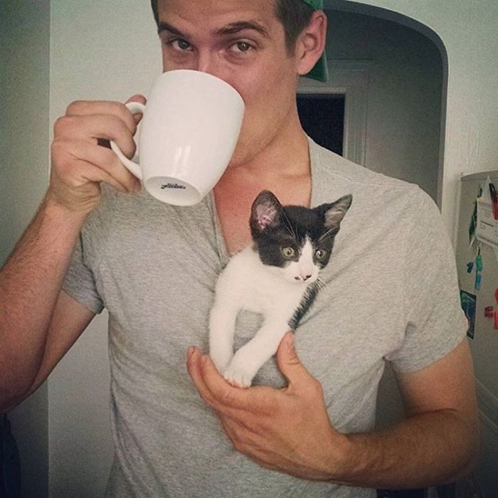 Hot Dudes With Kittens Instagram Is What You Need Right Meow Hot Dudes With Kittens Instagram Is What You Need Right Meow