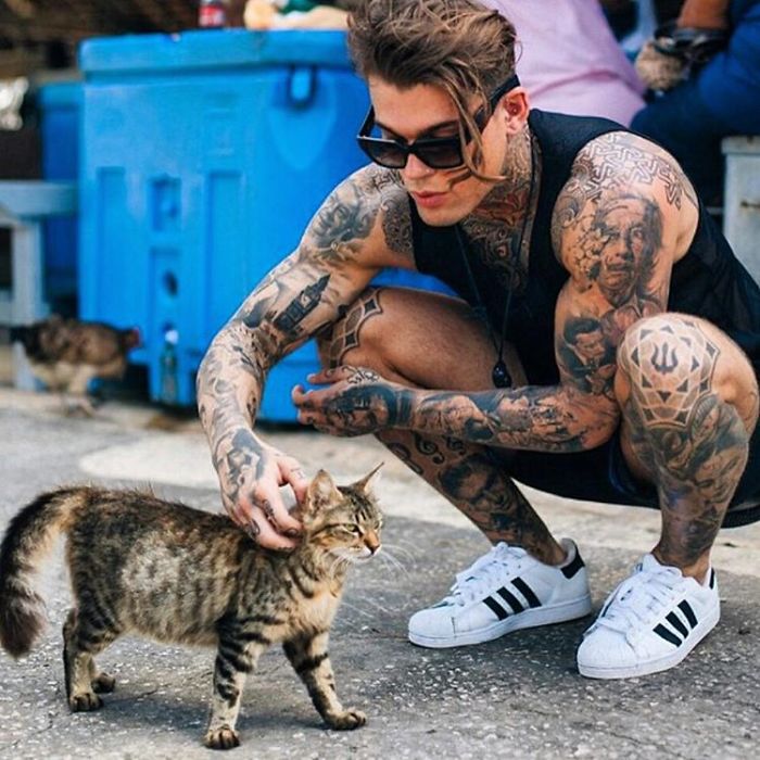 Hot Dudes With Kittens Instagram Is What You Need Right Meow Hot Dudes With Kittens Instagram Is What You Need Right Meow