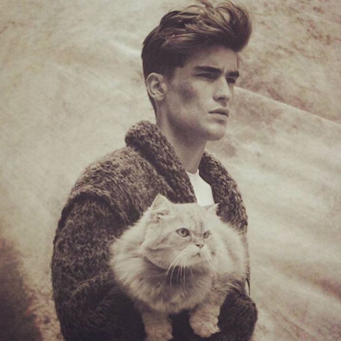 Hot Dudes With Kittens Instagram Is What You Need Right Meow Hot Dudes With Kittens Instagram Is What You Need Right Meow