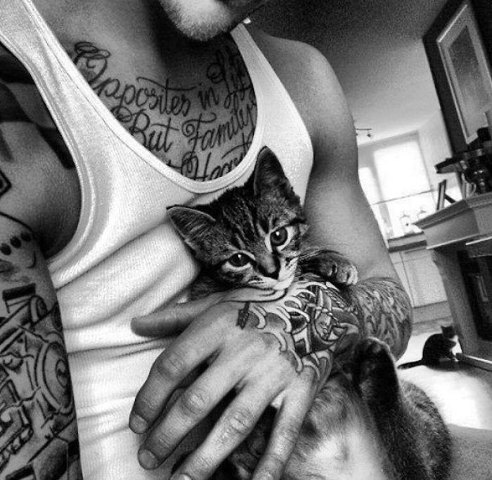 Hot Dudes With Kittens Instagram Is What You Need Right Meow Hot Dudes With Kittens Instagram Is What You Need Right Meow