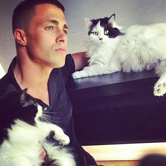 Hot Dudes With Kittens Instagram Is What You Need Right Meow Hot Dudes With Kittens Instagram Is What You Need Right Meow