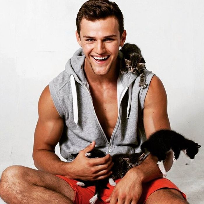 Hot Dudes With Kittens Instagram Is What You Need Right Meow Hot Dudes With Kittens Instagram Is What You Need Right Meow