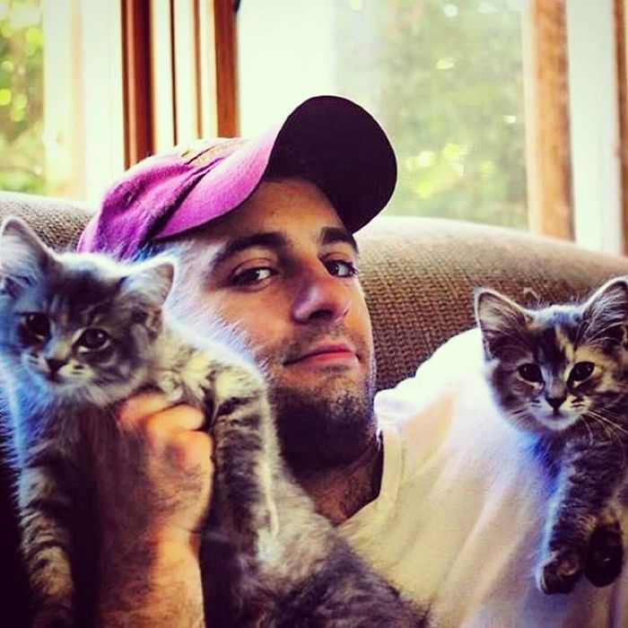 Hot Dudes With Kittens Instagram Is What You Need Right Meow Hot Dudes With Kittens Instagram Is What You Need Right Meow