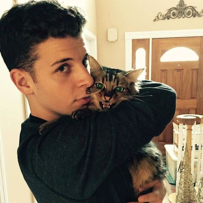 Hot Dudes With Kittens Instagram Is What You Need Right Meow Hot Dudes With Kittens Instagram Is What You Need Right Meow