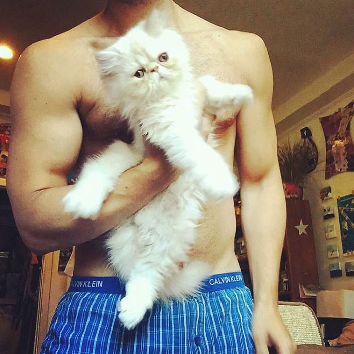 Hot Dudes With Kittens Instagram Is What You Need Right Meow Hot Dudes With Kittens Instagram Is What You Need Right Meow