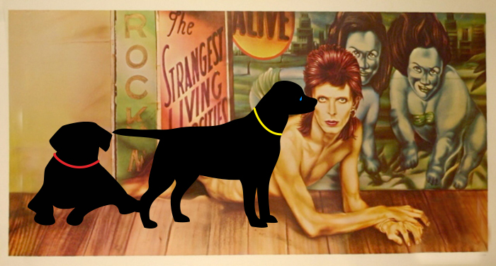 Artists Pay Tribute To Late David Bowie (289 Pics)