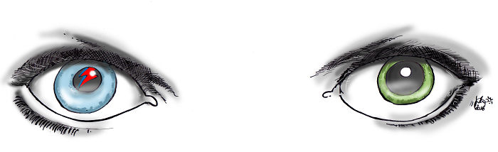 Artists Pay Tribute To Late David Bowie (289 Pics)