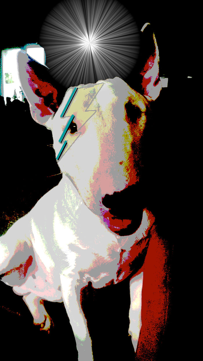 Artists Pay Tribute To Late David Bowie (289 Pics)