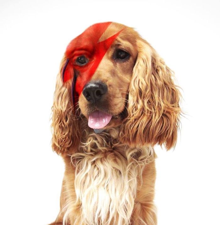 Artists Pay Tribute To Late David Bowie (289 Pics)