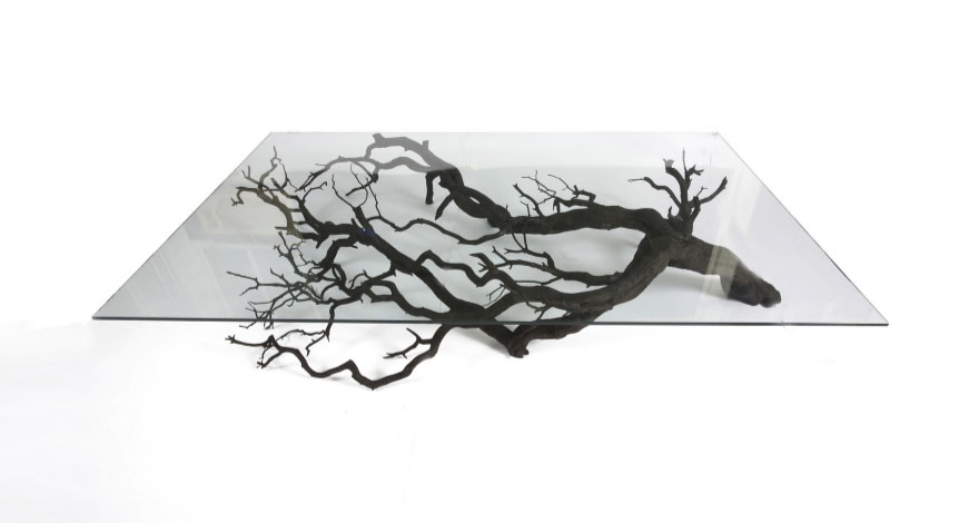 Artist Finds Fallen Tree Branch On Road, Turns It Into Shelf Artist Finds Fallen Tree Branch On Road, Turns It Into Shelf