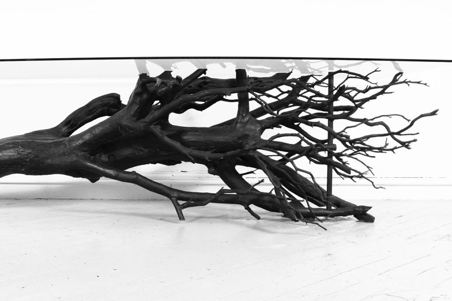Artist Finds Fallen Tree Branch On Road, Turns It Into Shelf Artist Finds Fallen Tree Branch On Road, Turns It Into Shelf
