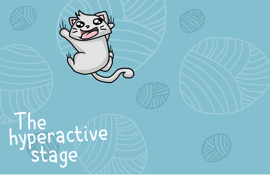 Cats On Catnip: I Illustrated The 7 Stages They Go Through Cats On Catnip: I Illustrated The 7 Stages They Go Through