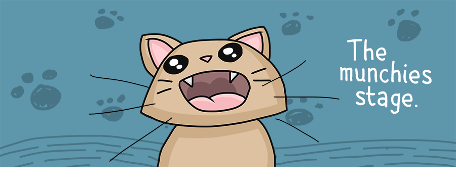 Cats On Catnip: I Illustrated The 7 Stages They Go Through Cats On Catnip: I Illustrated The 7 Stages They Go Through