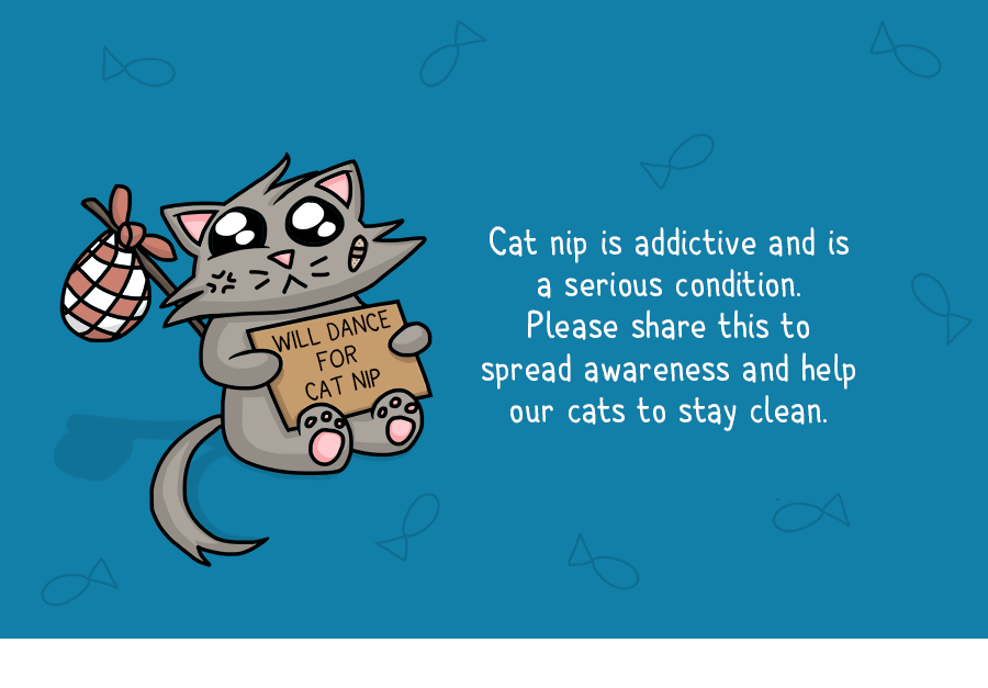 Cats On Catnip: I Illustrated The 7 Stages They Go Through Cats On Catnip: I Illustrated The 7 Stages They Go Through