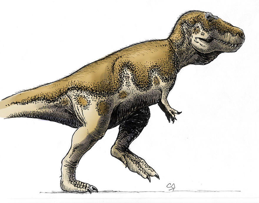 Challenge: Complete The Drawing Challenge: Complete The Drawing