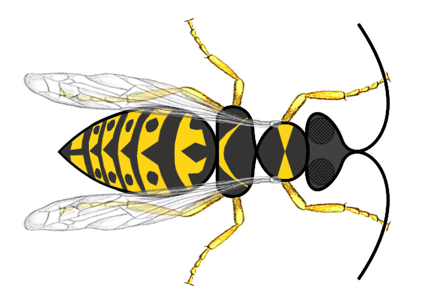 Challenge: Complete The Drawing Challenge: Complete The Drawing