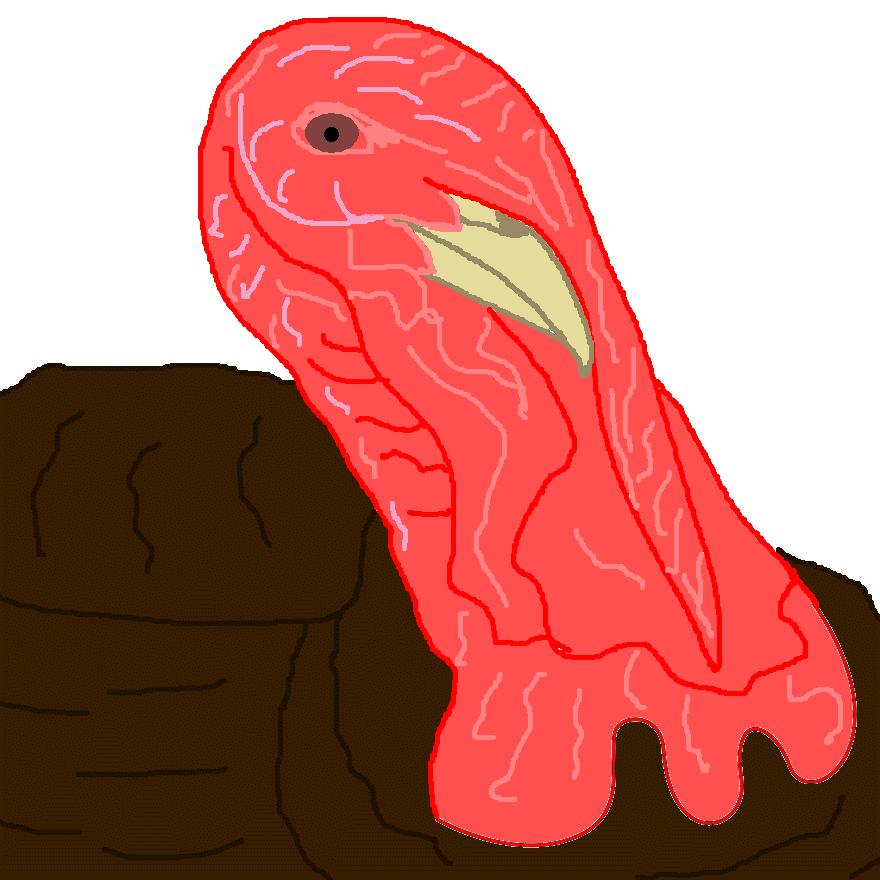 Challenge: Complete The Drawing Challenge: Complete The Drawing