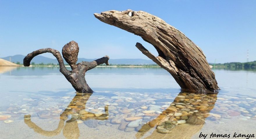 We Make Sculptures From The Wood That Has Been Washed By The Water We Make Sculptures From The Wood That Has Been Washed By The Water