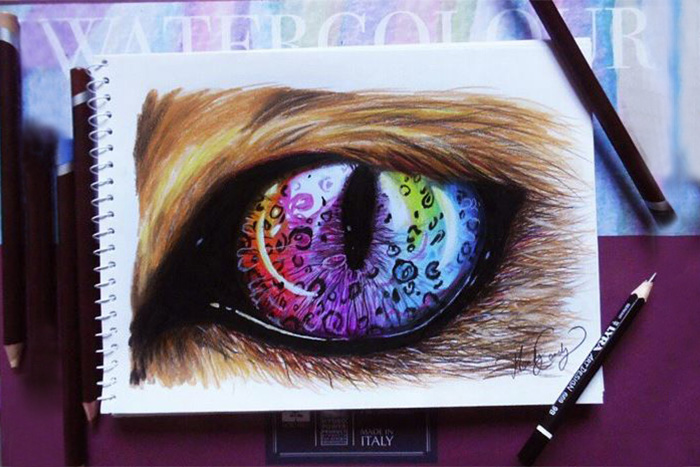 My Drawings Are My Life