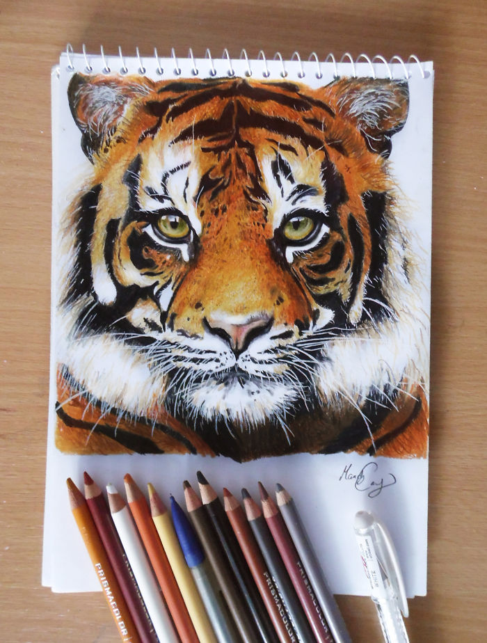 My Drawings Are My Life